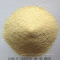 Dehydrated Garlic Granule Grade a From Factory